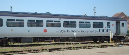 156402 'Anglia in Bloom sponsored by ONE', 25.July.06